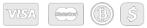Accepted payment badges: Visa, Mastercard, Bitcoin and cash-equivalent transfers